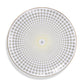 It's a Pattern - 10" Dinner Plate